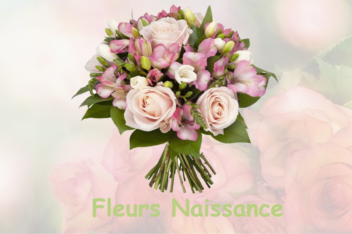 fleurs naissance NONSARD-LAMARCHE