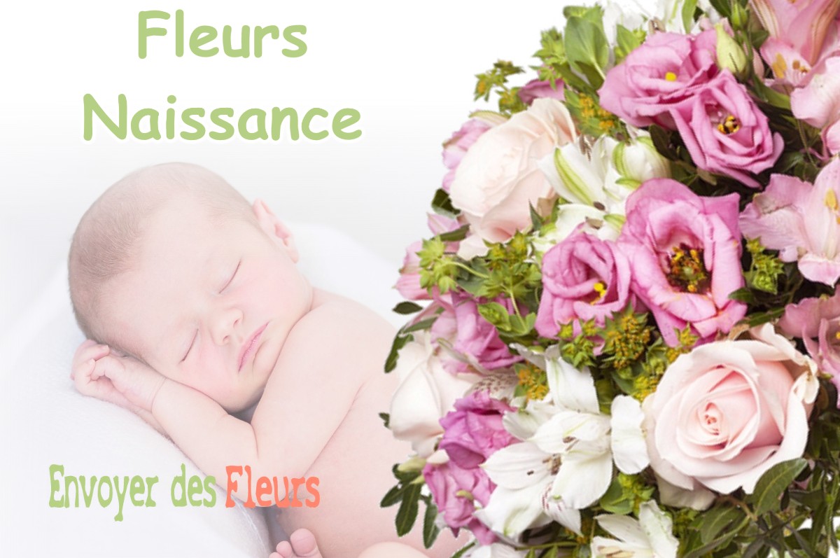 lIVRAISON FLEURS NAISSANCE à NONSARD-LAMARCHE